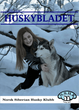 Huskybladet 1/2013 - Norsk Siberian Husky Klubb