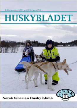 Huskybladet 4/2013-1/2014 - Norsk Siberian Husky Klubb