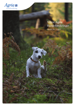 Vilkår Hund 2013 - Agria Dyreforsikring