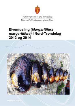 (Margaritifera margaritifera) i Nord-Trøndelag 2013 og 2014