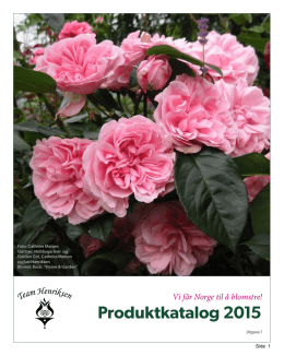 Katalog 2015 - Team Henriksen