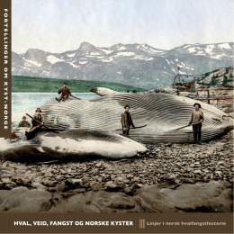 hval, veid, fangst og norske kyster - Fortellinger om kyst