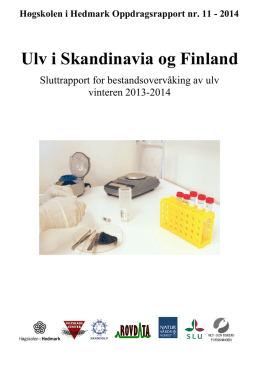Ulv i Skandinavia og Finland