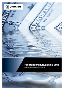 Rapporten (pdf) - Hvitvasking.no
