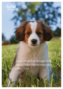 Vilkår for hund - Agria Dyreforsikring
