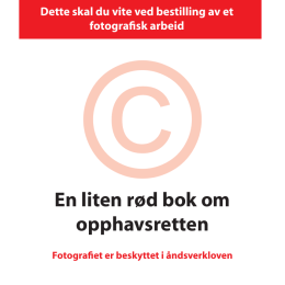 En liten rød bok om opphavsretten - Foto