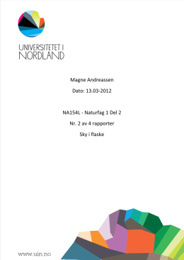 Magne Andreassen. Sky i flaske.pdf
