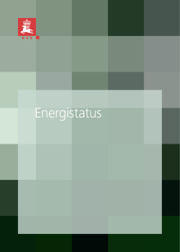 Energistatus 2010