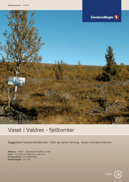 Vaset i Valdres - fjelltomter