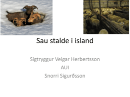 Sigtryggur Veigar Herbertsson, Sau stalde på Island