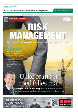 Erfarne konsulenter innen Risk Management Økonomi