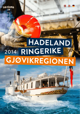 2014 RINGERIKE HADELAND GJØVIKREGIONEN