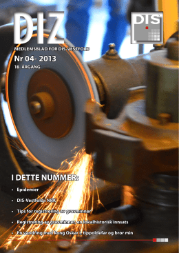 Nr 04- 2013 I DETTE NUMMER: - DIS-Vestfold - DIS