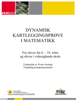 Dynamisk kartleggingsprøve i matematikk 4.