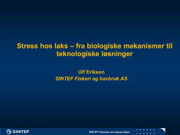 Ulf Erikson_Stress hos laks.pdf