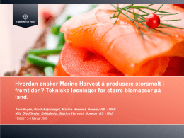 Hvordan ønsker Marine Harvest å produsere storsmolt i
