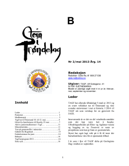 SiT nr 37 Mai 2013 pdf