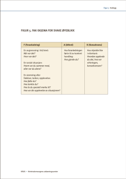 FAK-SKJEMA FOR STERKE ØYEBLIKK (pdf)