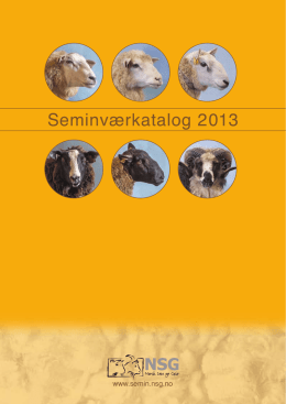 2013 - NSG Semin - Norsk Sau og Geit