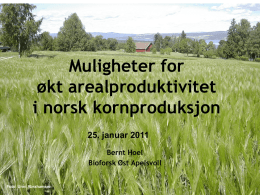 Muligheter for økt arealproduktivitet i norsk kornproduksjon