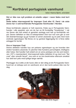 Korthåret portugisisk vannhund.pdf