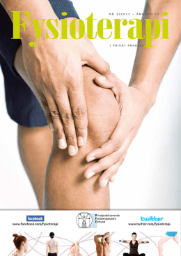 Nr. 3 2013 - Privatpraktiserende Fysioterapeuters Forbund