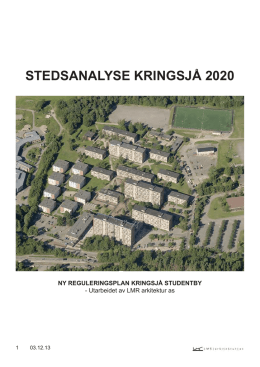 STEDSANALYSE KRINGSJÅ 2020