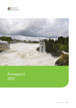 Årsrapport 2013 - Hønefoss Sparebank