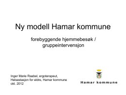 Ny modell Hamar kommune