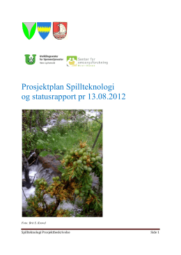 Prosjeketplan Spillteknologi og statusrapport pr 13.08.2012