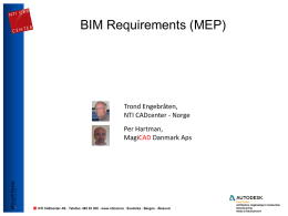 BIM Requirements (MEP)