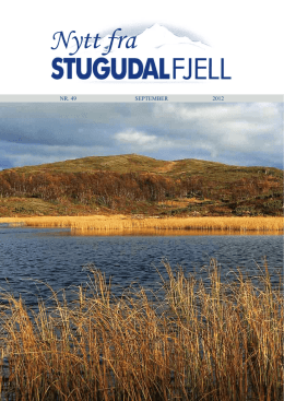 nr 49 - Stugudal Fjell