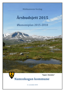 Årsbudsjett 2015 - Namsskogan kommune
