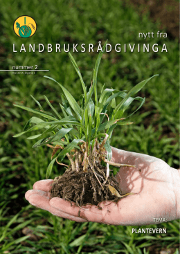 Nr 2 - plantevern - Hedmark Landbruksrådgiving