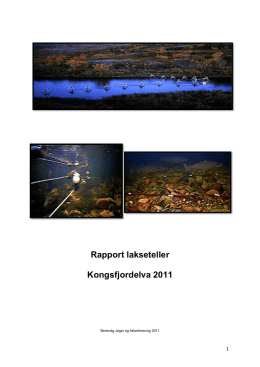 Rapport lakseteller Kongsfjordelva2011TS.19.11