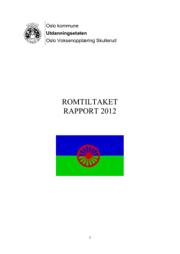 ROMTILTAKET RAPPORT 2012 - Oslo Voksenopplæring Skullerud