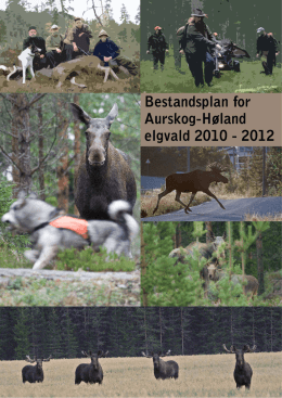 Bestandsplan Aurskog-Høland elgvald | Forord 1