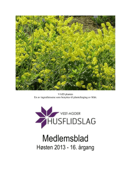 VAH medlemsblad høsten 2013.pdf - Husflid.no