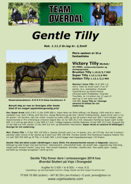 Gentle Tilly