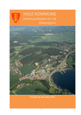 Planprogram kommunedelplan for Vik - Fastsatt.pdf