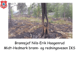 Brannsjef Nils-Erik Haagenrud Midt-Hedmark brann