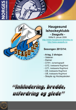 Haugesund Ishockeyklubb