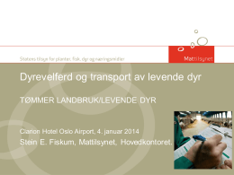Dyrevelferd Transport Stein Fiskum Mattilsynet.pdf