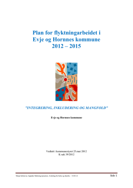 Plan for flyktningarbeidet i Evje og Hornnes kommune 2012-2015