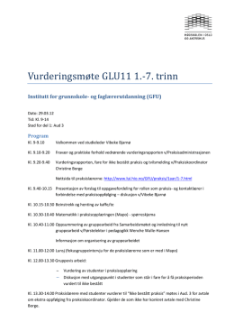 Vurderingsmøte GLU11 1.