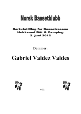 Dommer: Gabriel Valdez Valdes