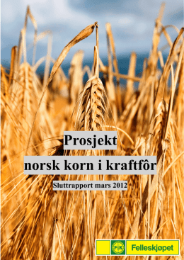 Norsk korn i kraftfôr