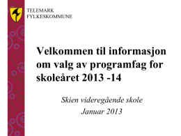 Fagvalg VG2 13-14.pdf - Skien videregående skole