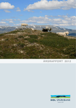 Årsrapport 2012 - Skue Sparebank