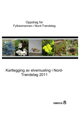 Kartlegging av elvemusling i Nord- Trøndelag 2011